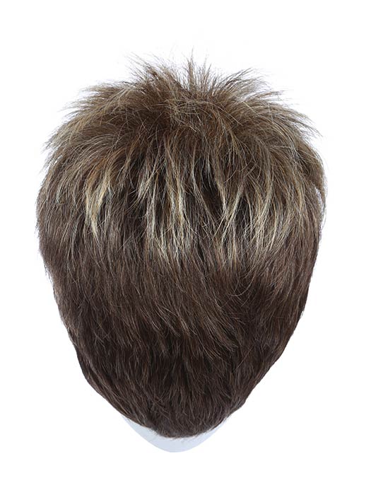 Power by Raquel Welch - Regal Wigs